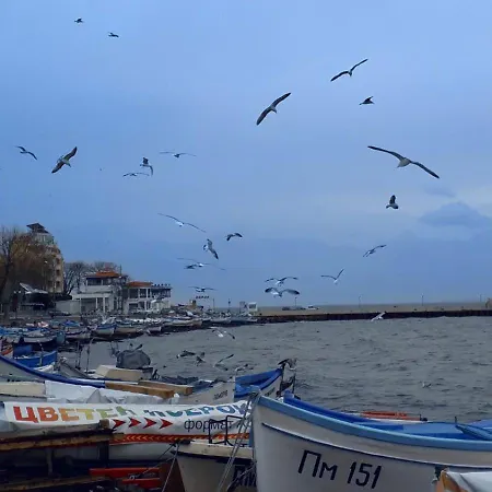 Apartment Direkt Am Pomorie
